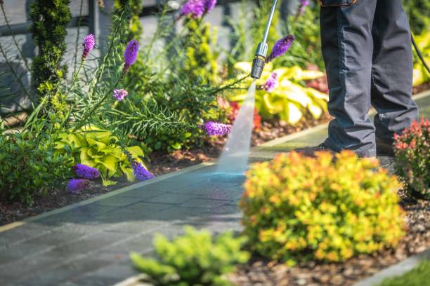 Best Dumpster Area Cleaning  in Mountainside, NJ
